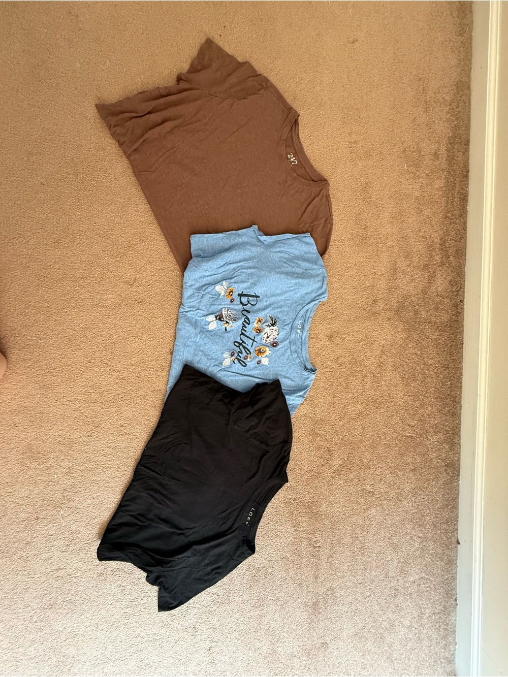 LOFT & 24/7 Women's Short Sleeve Tees - Brown, Light Blue Floral, Black
